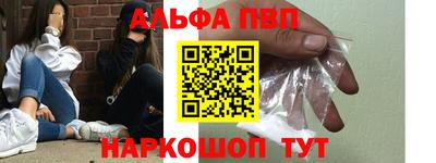 стаф Гатчина