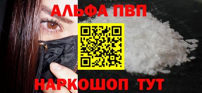 стаф Гатчина