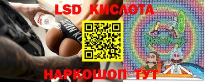 стаф Гатчина