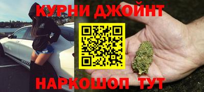стаф Гатчина