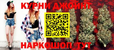стаф Гатчина
