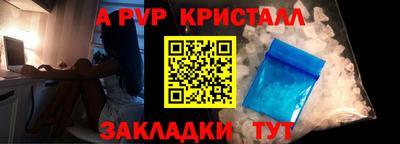 стаф Гатчина