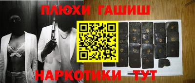 стаф Гатчина