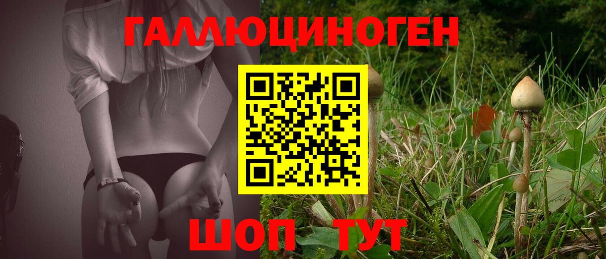 Галлюциногенные грибы Psilocybe  Вход с VPN  Прохладный 