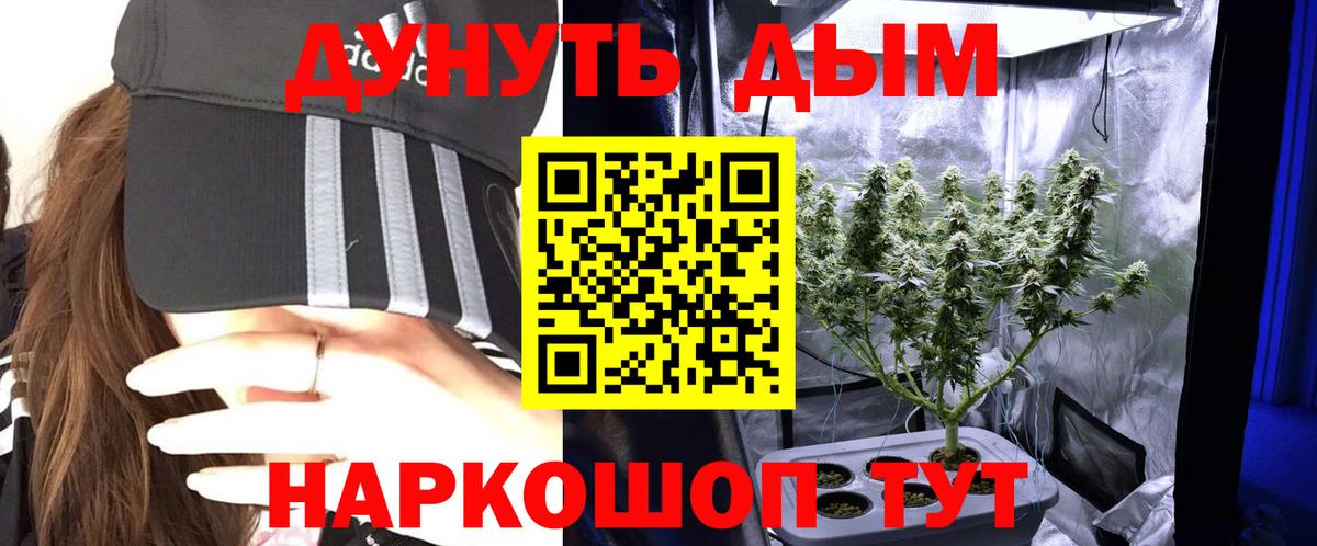 Шишки марихуана Bruce Banner  Вход с VPN  Бошки Шишки OG Kush  Прохладный  Шишки марихуана OG Kush 
